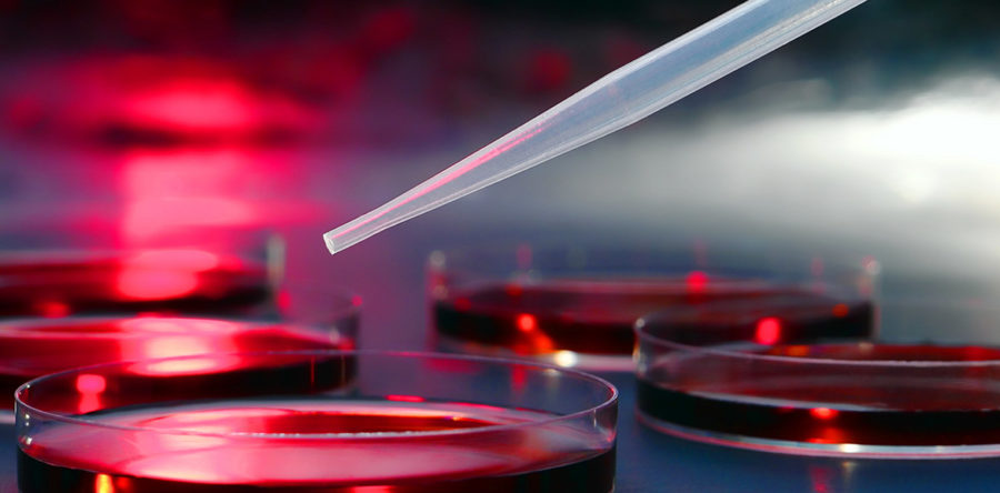 Health and Human Services